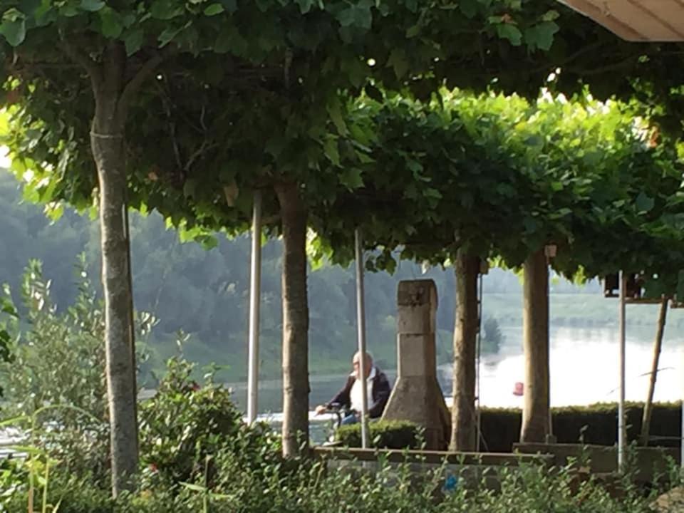 Maas Chalet Aldeneik Maaseik Eksteriør bilde